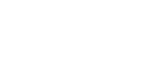 Zennova Carpet Company